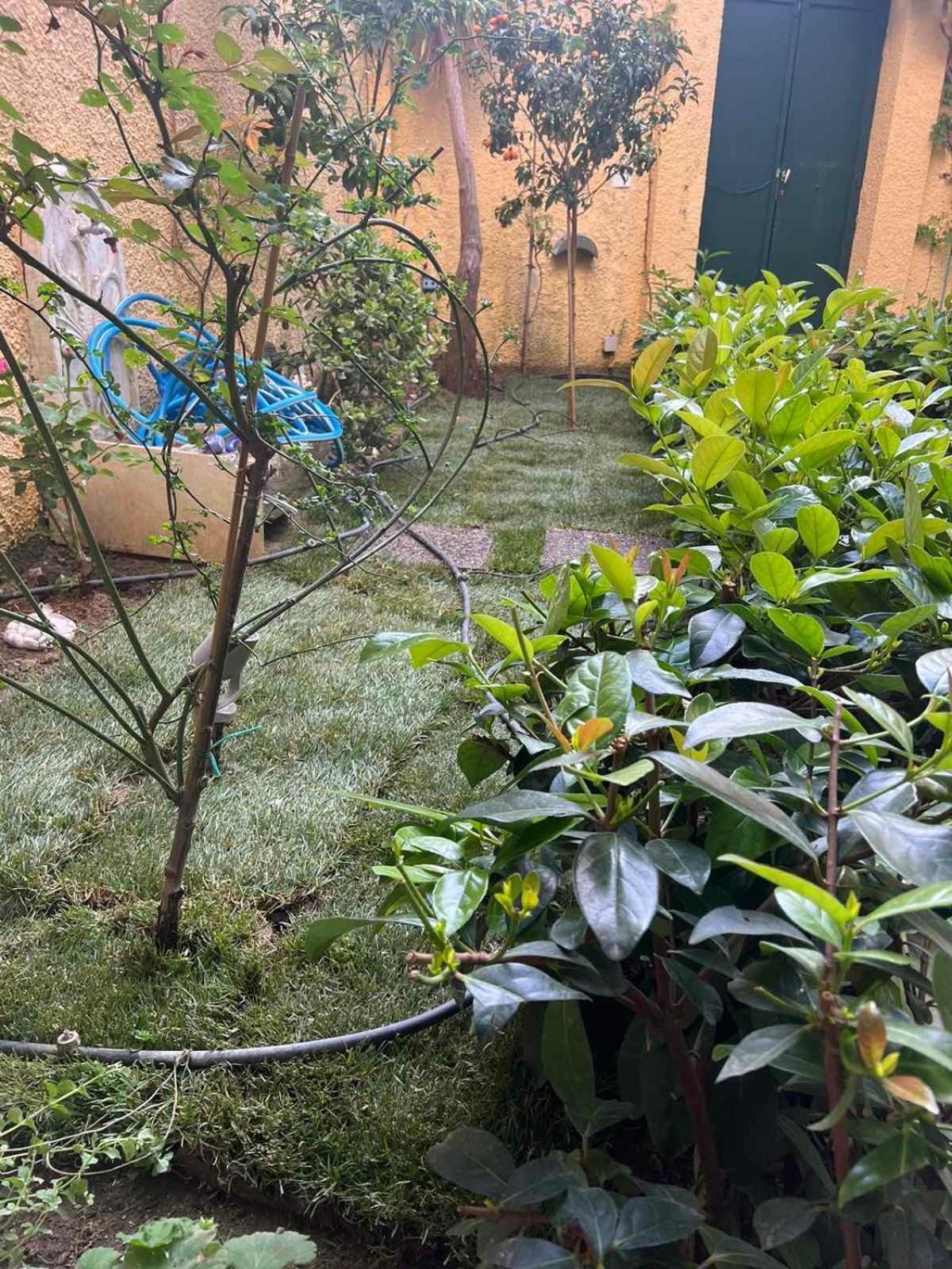 Appartement τhe Hidden Garden *