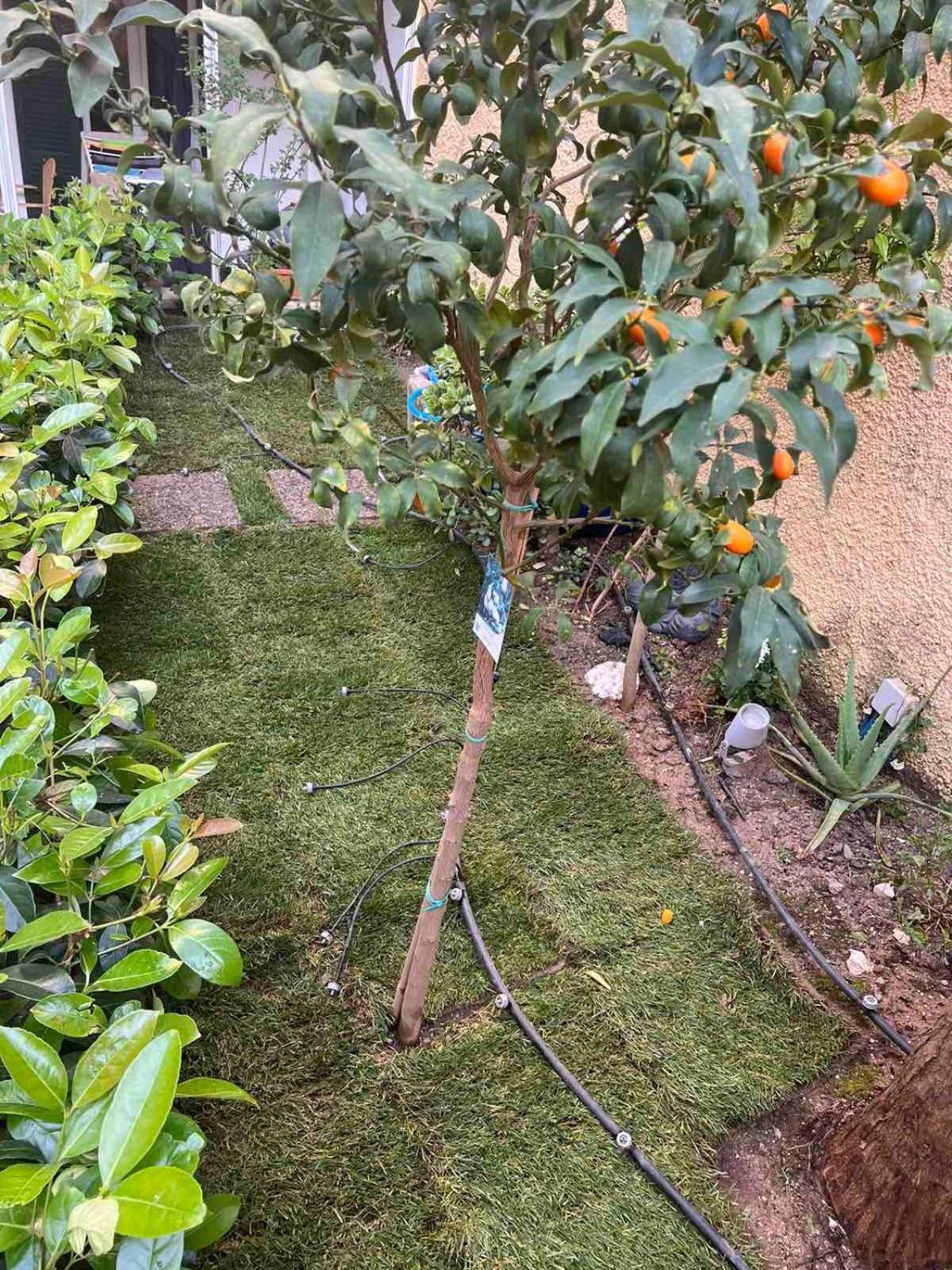 τhe Hidden Garden * Corfu (city)