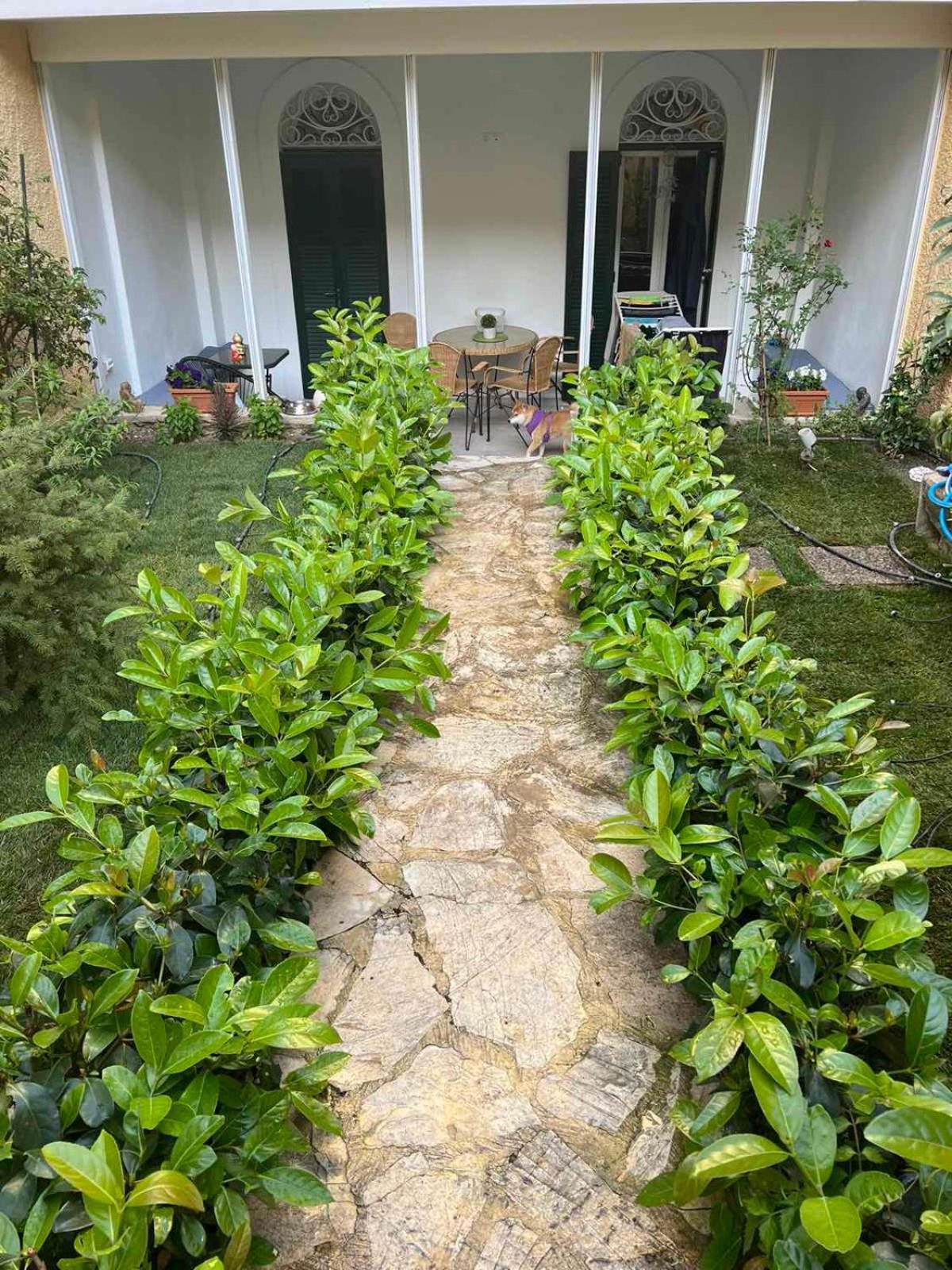 τhe Hidden Garden Corfu (city)